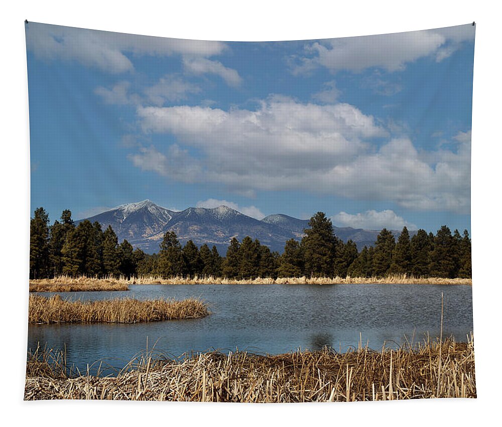Arizona Tapestry featuring the photograph Humphrey's Peak in Spring by Laura Putman