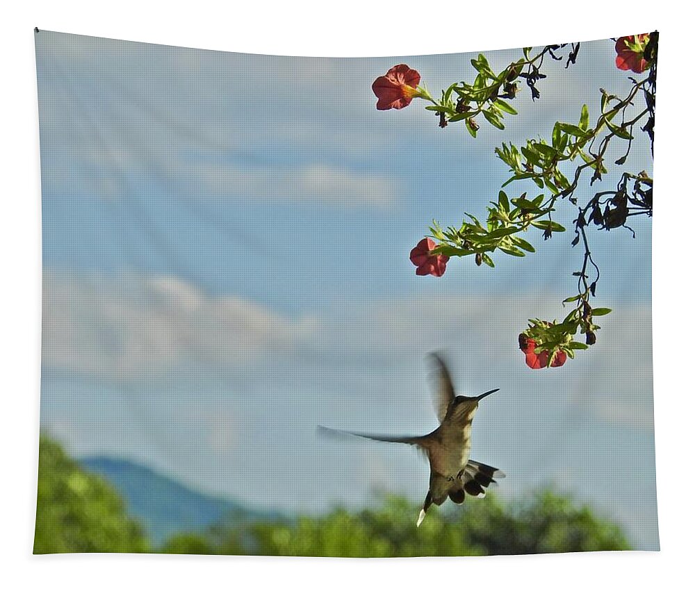 Hungry Hummingbird Tapestry featuring the photograph Hungry Hummingbird by Kathy Ozzard Chism