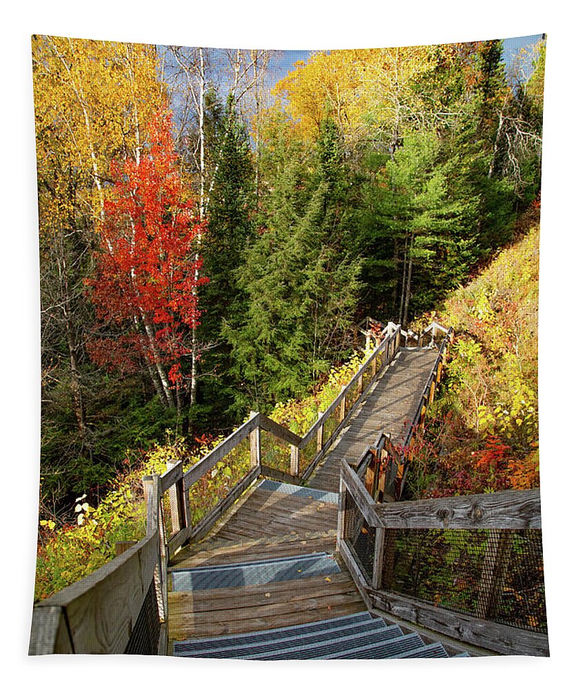 Au Sable River Tapestry featuring the photograph Huron Manistee National Forest in Michigan with fall colors by Eldon McGraw