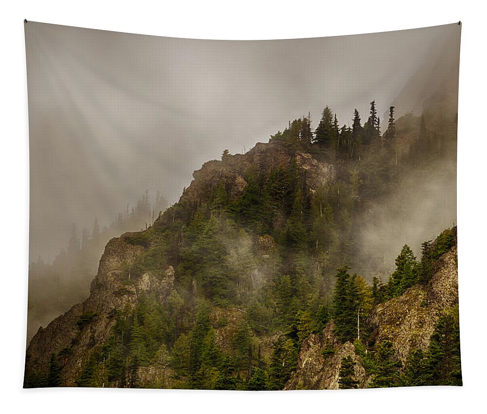 Shi Tapestry featuring the photograph Hurricane Ridge Fog by Amanda Jones