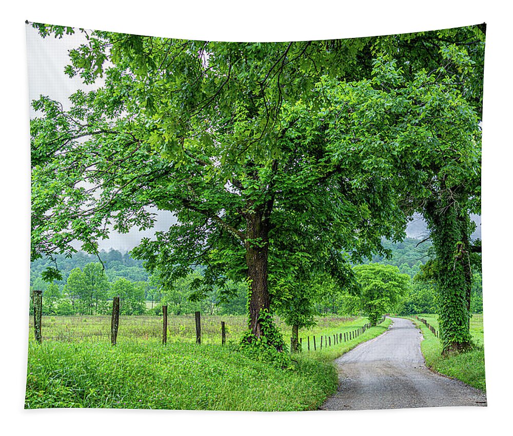 Cades Cove Tapestry featuring the photograph Highlights of Hyatt Lane by Douglas Wielfaert