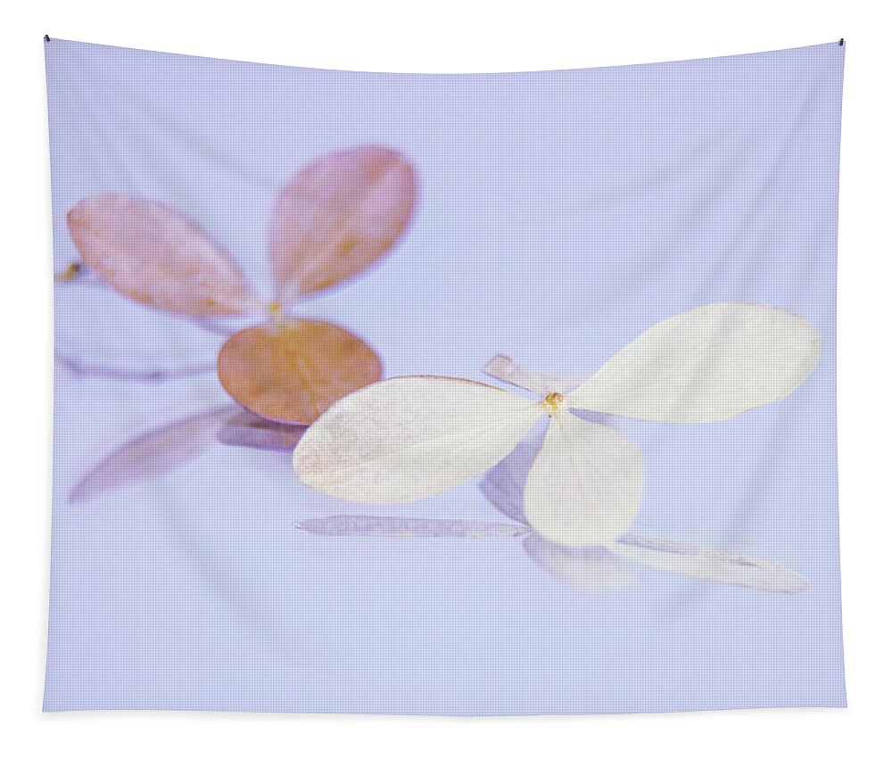 Background Tapestry featuring the photograph Hydrangea flowers macro on violet background - soft colors by Cristina Stefan