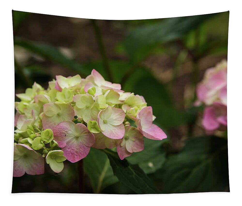 Dupage County Tapestry featuring the photograph Hydrangea in Summer by Joni Eskridge