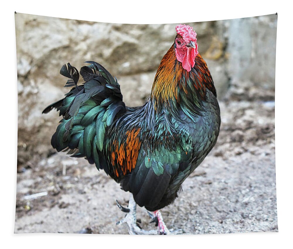 Rooster Tapestry featuring the photograph I Am King Rooster by Scott Burd