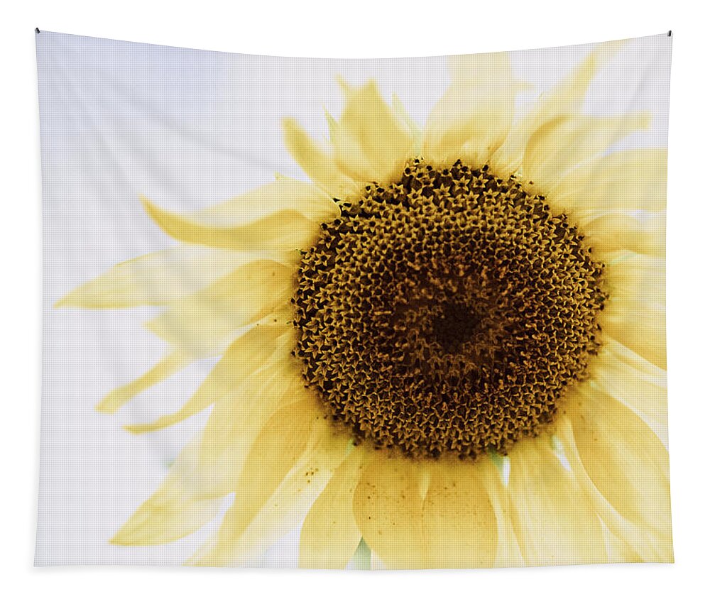 Sunflower Tapestry featuring the photograph I Dream of Sunflower by Ada Weyland