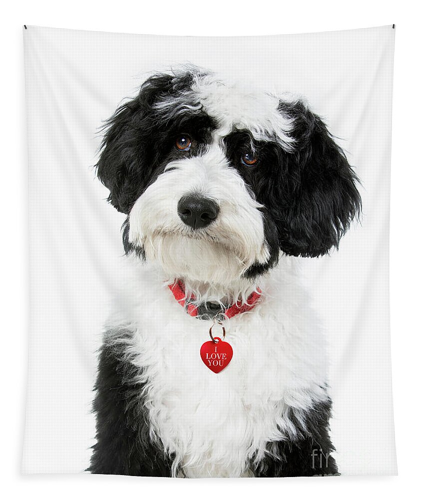 Dog Tapestry featuring the photograph I Love You Doodle by Diane Diederich