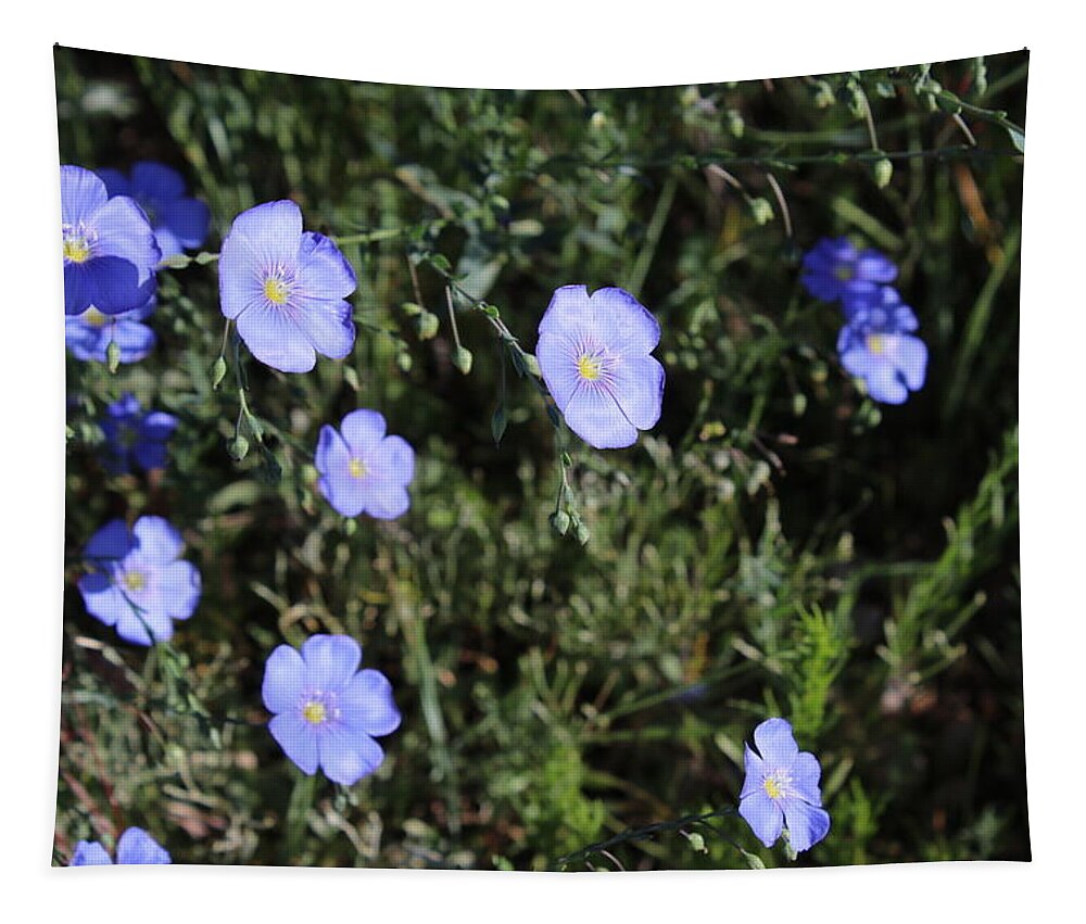 Blue Flowers Tapestry featuring the photograph I will lift up mine eyes unto the hills, from whence cometh my help. by Yvonne M Smith