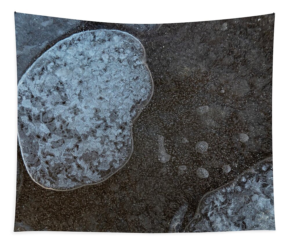 Bubbles Tapestry featuring the photograph Ice Abstract With Bubbles by Karen Rispin