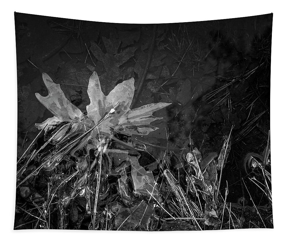 Abstract Tapestry featuring the photograph Ice Abstraction VII BW SQ by David Gordon