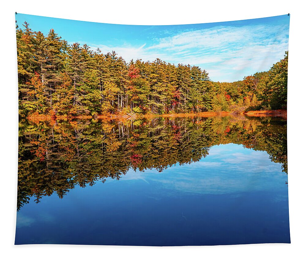 Ice Lake Park Tapestry featuring the photograph Ice Lake Park Fall Reflections by Jason Fink