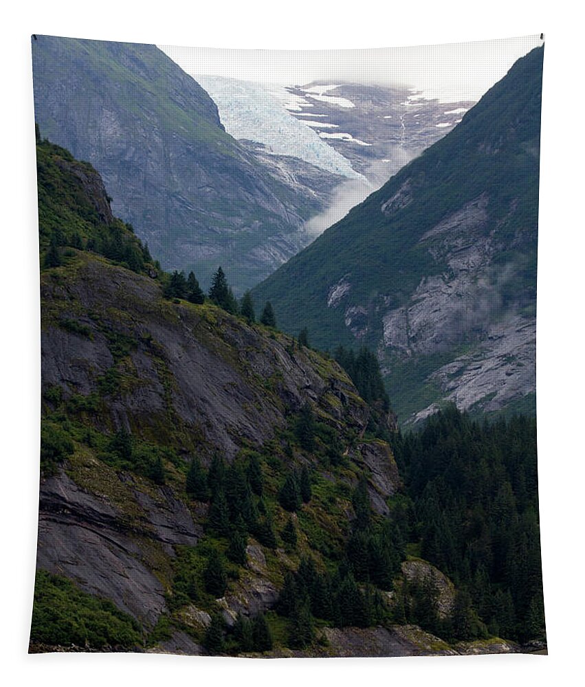 Glacier Tapestry featuring the photograph Ice Origins by Alycia Christine