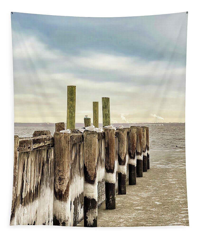 Pilings Tapestry featuring the photograph Ice Tracks Of The Tides by Gary Slawsky