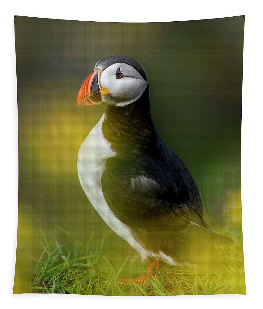 Puffin Tapestry featuring the photograph Iceland - Atlantic puffin by Olivier Parent
