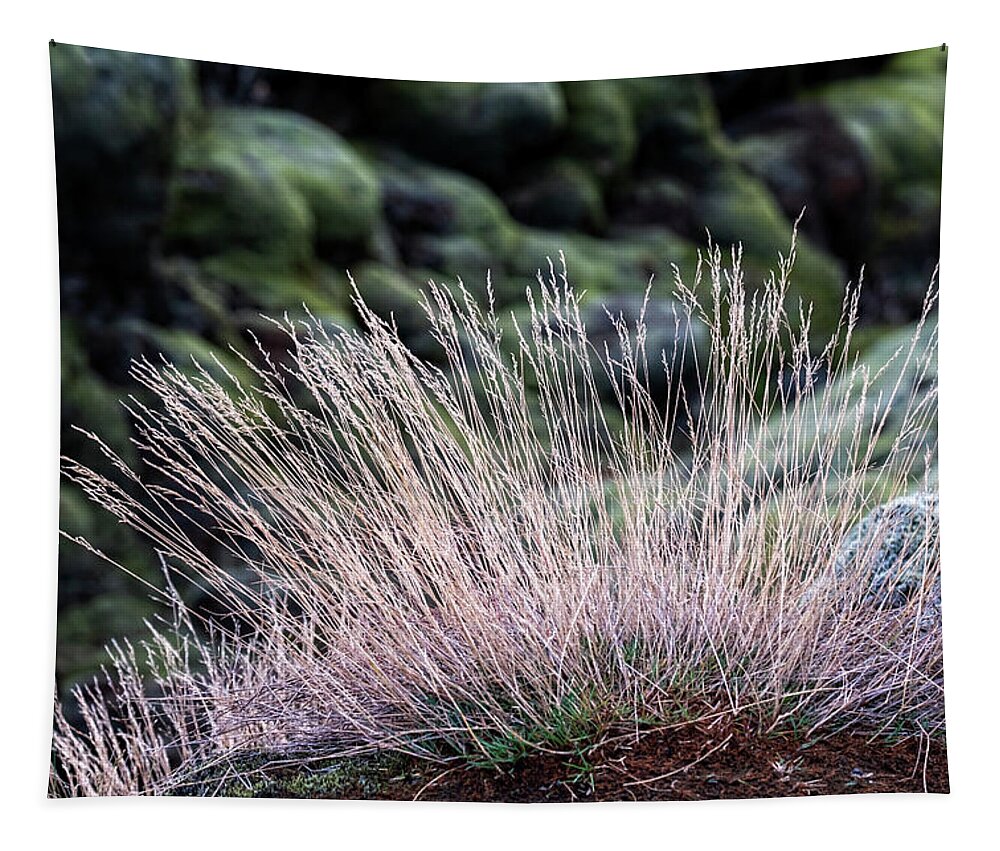 Iceland Tapestry featuring the photograph Iceland Lava Field Plants by Catherine Reading