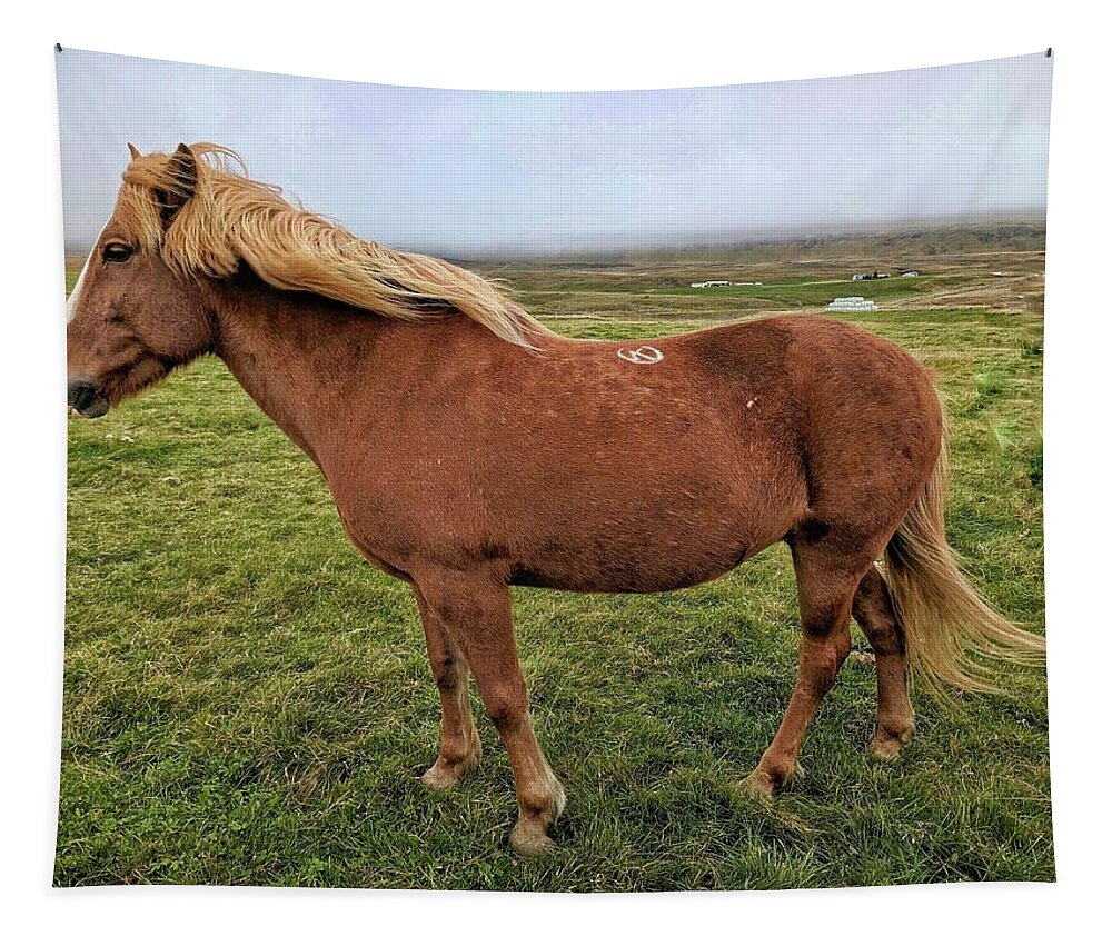 Iceland Tapestry featuring the photograph Icelandic horse by Yvonne Jasinski