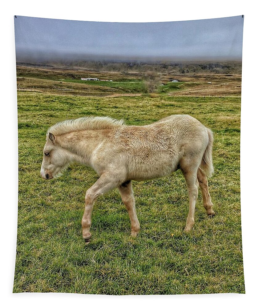 Iceland Tapestry featuring the photograph Icelanding white Horse by Yvonne Jasinski