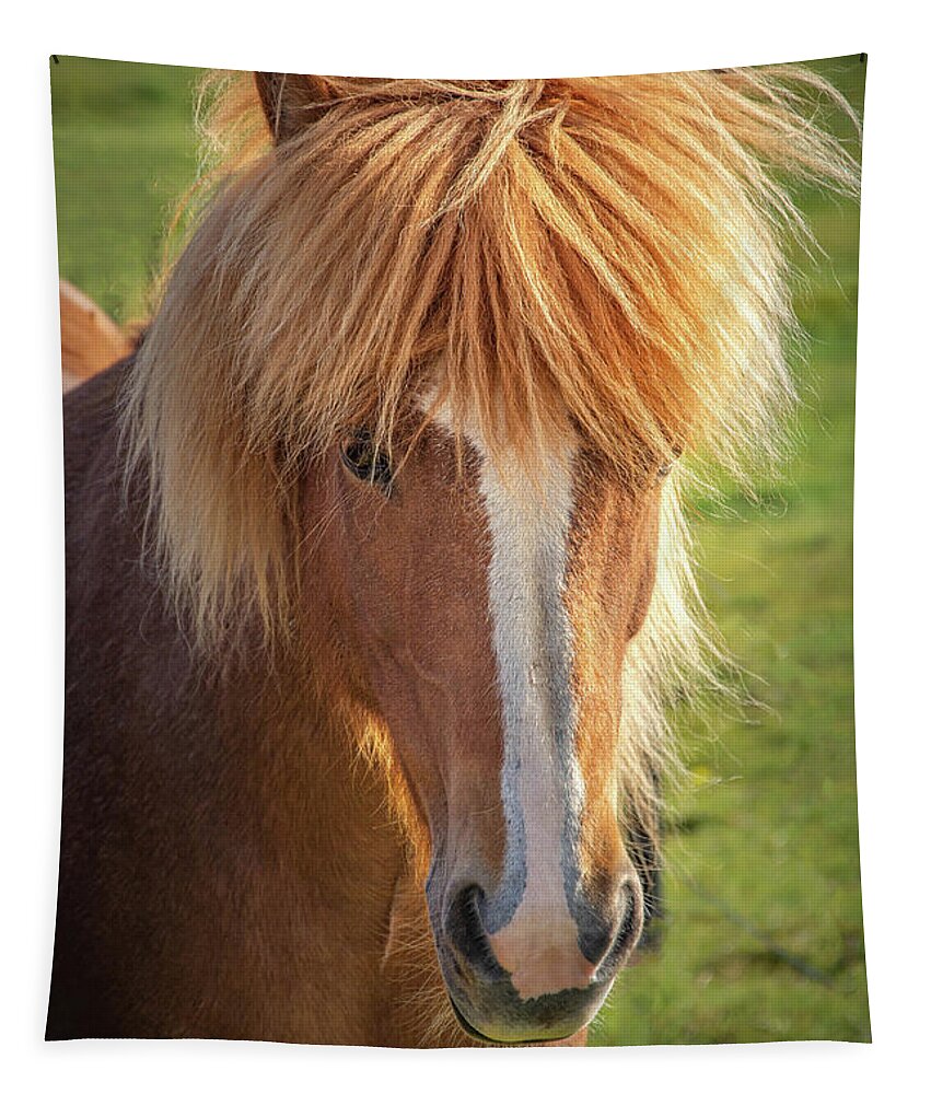 Icelandic Horse Tapestry featuring the photograph Icelands Special Breed of Horses by Rebecca Herranen