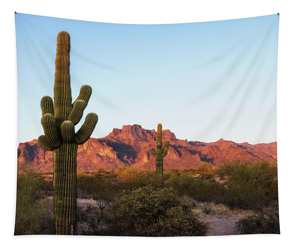 American Southwest Tapestry featuring the photograph Iconic Cougar Shadow by Rick Furmanek