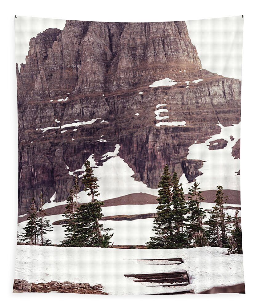  Tapestry featuring the photograph Iconic Logan Pass by William Boggs
