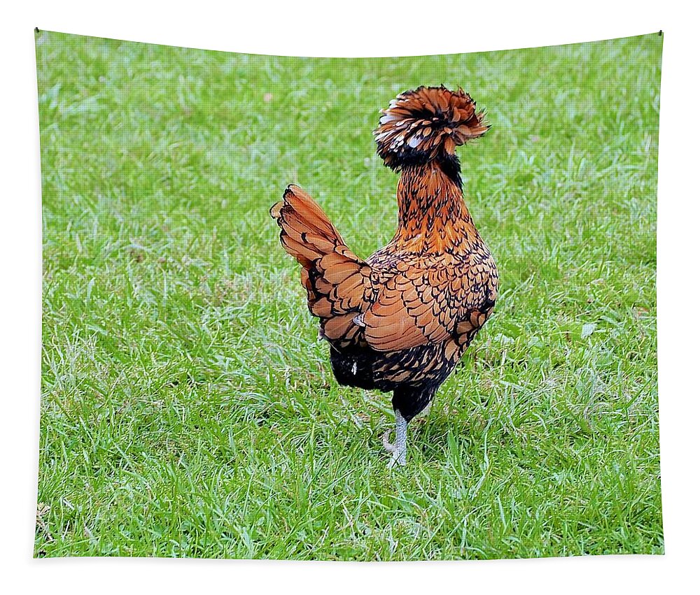 Chicken Tapestry featuring the photograph I'd Like To Stay But... by Alida M Haslett