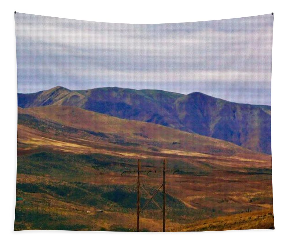 - Idaho Mountains 5 Tapestry featuring the photograph - Idaho Mountains 5 by THERESA Nye
