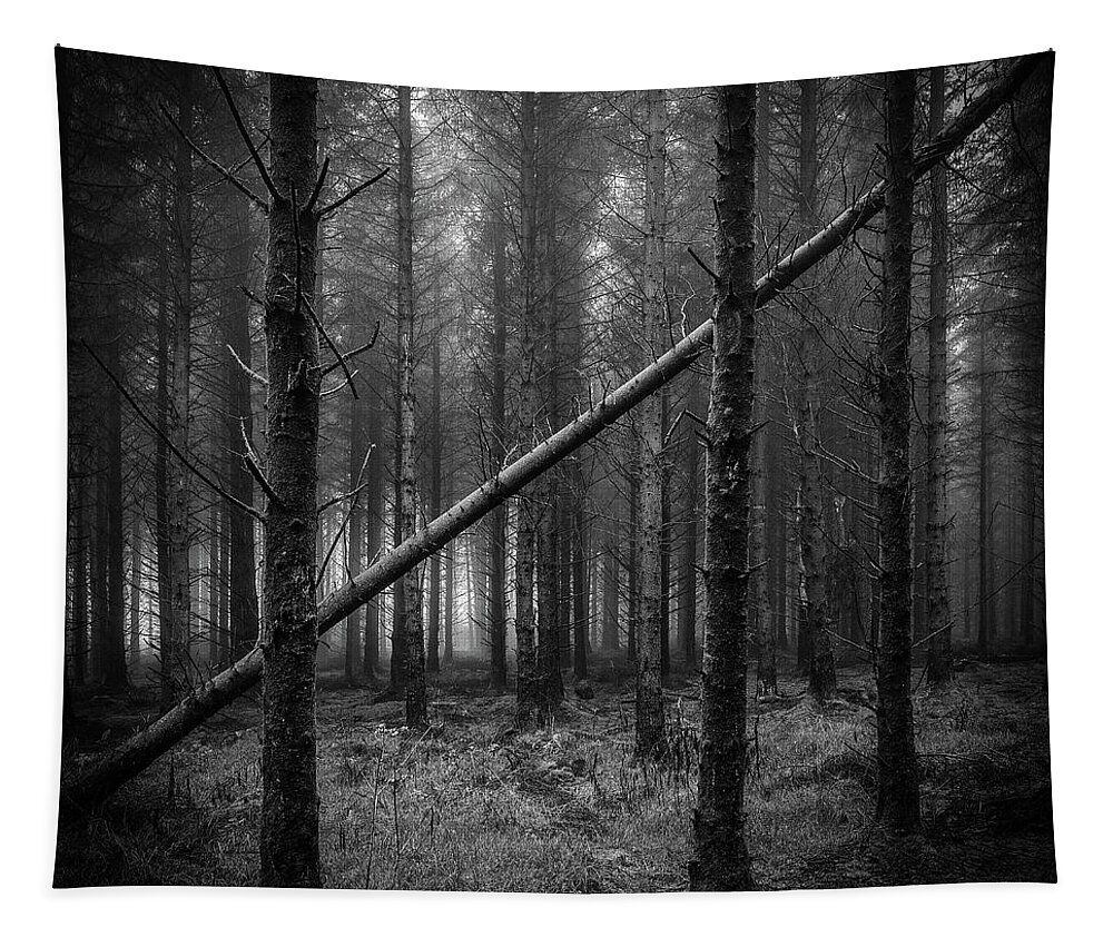 Forest Tapestry featuring the photograph If a tree falls in a forest... by Nigel R Bell