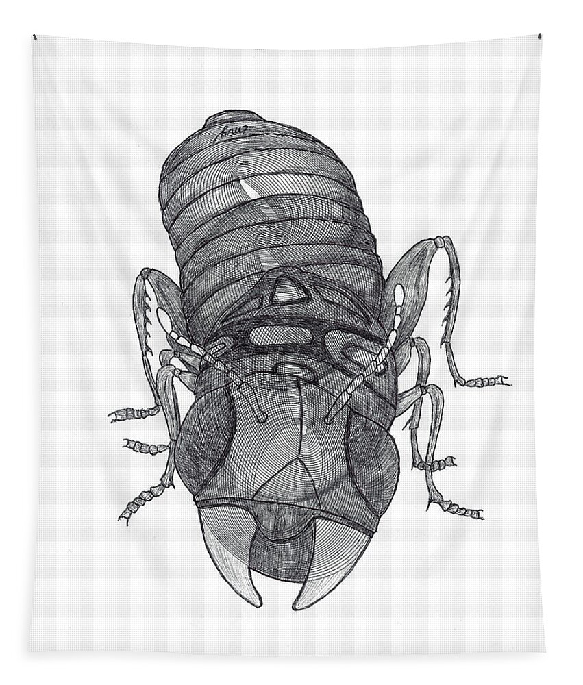 Insect Tapestry featuring the drawing Improbable Bug by Teresamarie Yawn