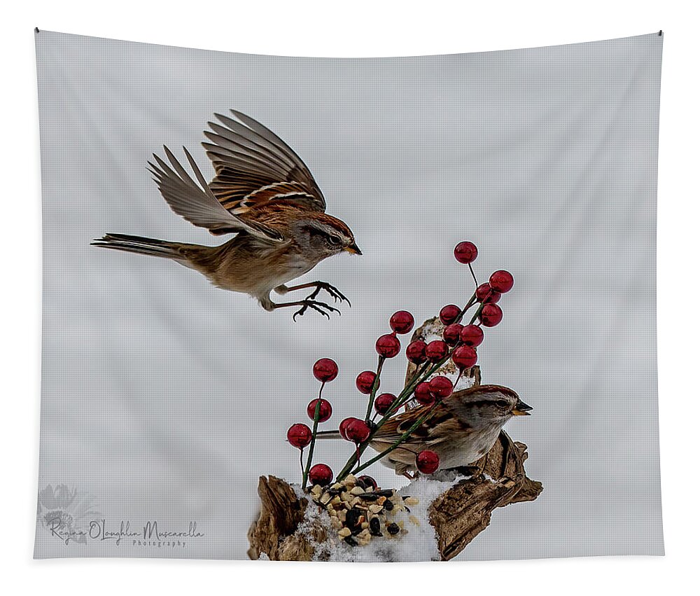 Sparrow Tapestry featuring the photograph In for a Landing by Regina Muscarella