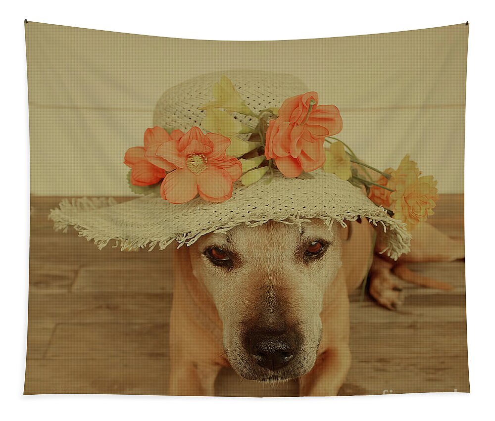 Animal Tapestry featuring the photograph In My Easter Bonnet by Elaine Teague