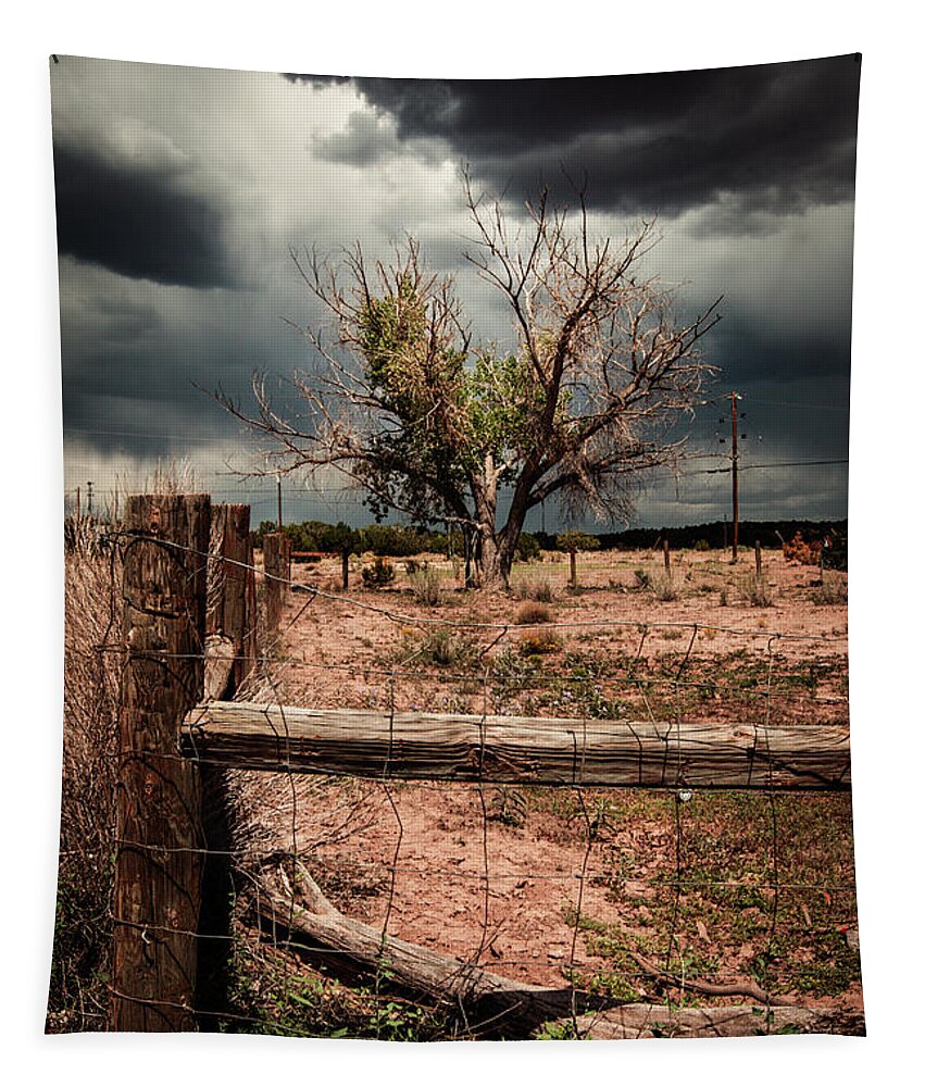 Arizona Tapestry featuring the photograph In the Eye of the Storm by Carmen Kern