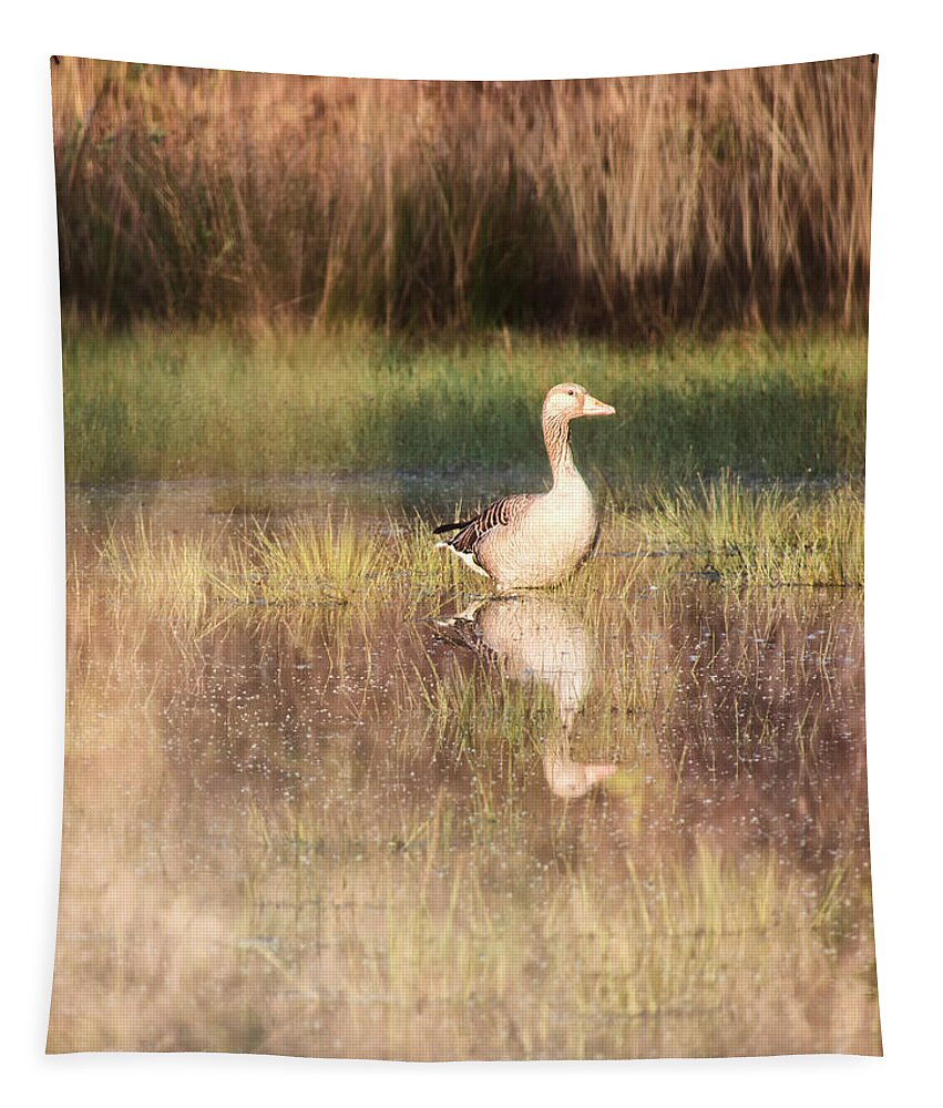 Goose Tapestry featuring the photograph Morning Mirroring by Jaroslav Buna