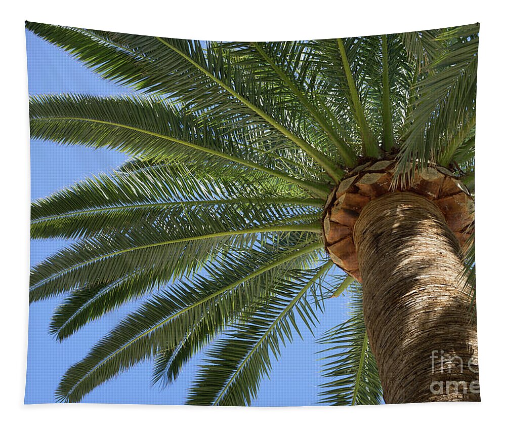 Palm Leaves Tapestry featuring the photograph In the shade of a tall palm tree, summer on the beach by Adriana Mueller