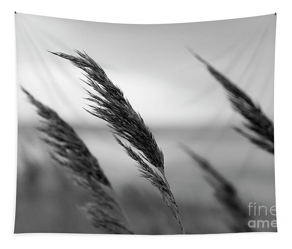 A Gentle Tapestry featuring the photograph In the Soft Breeze - black and white version by Daniel M Walsh
