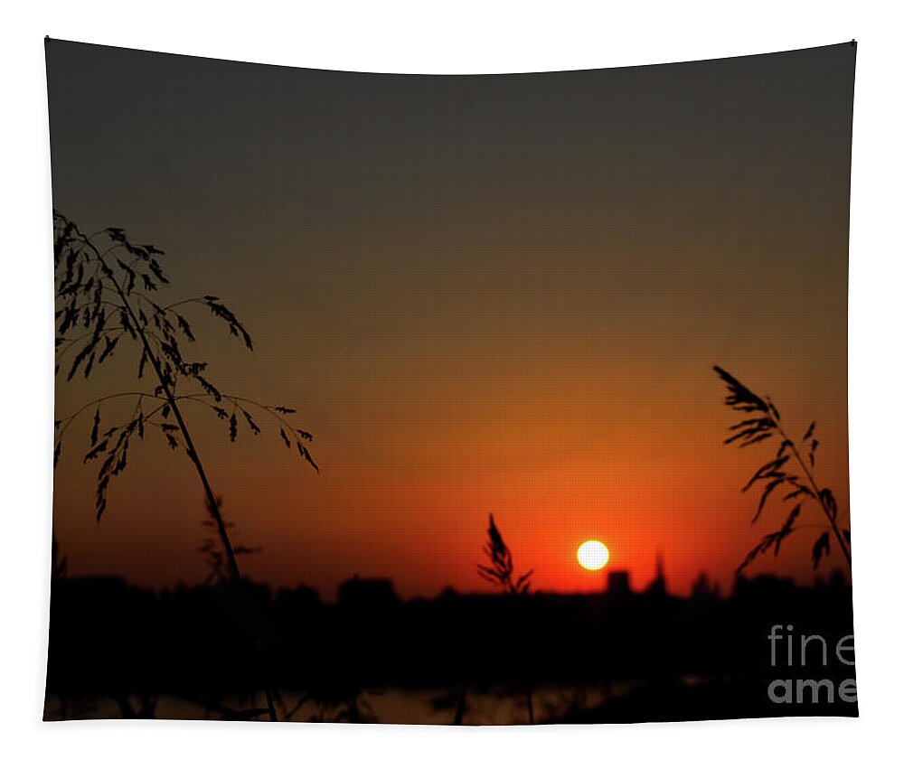 Nature Tapestry featuring the photograph In the Vermilion Fields of Twilight by Leonida Arte
