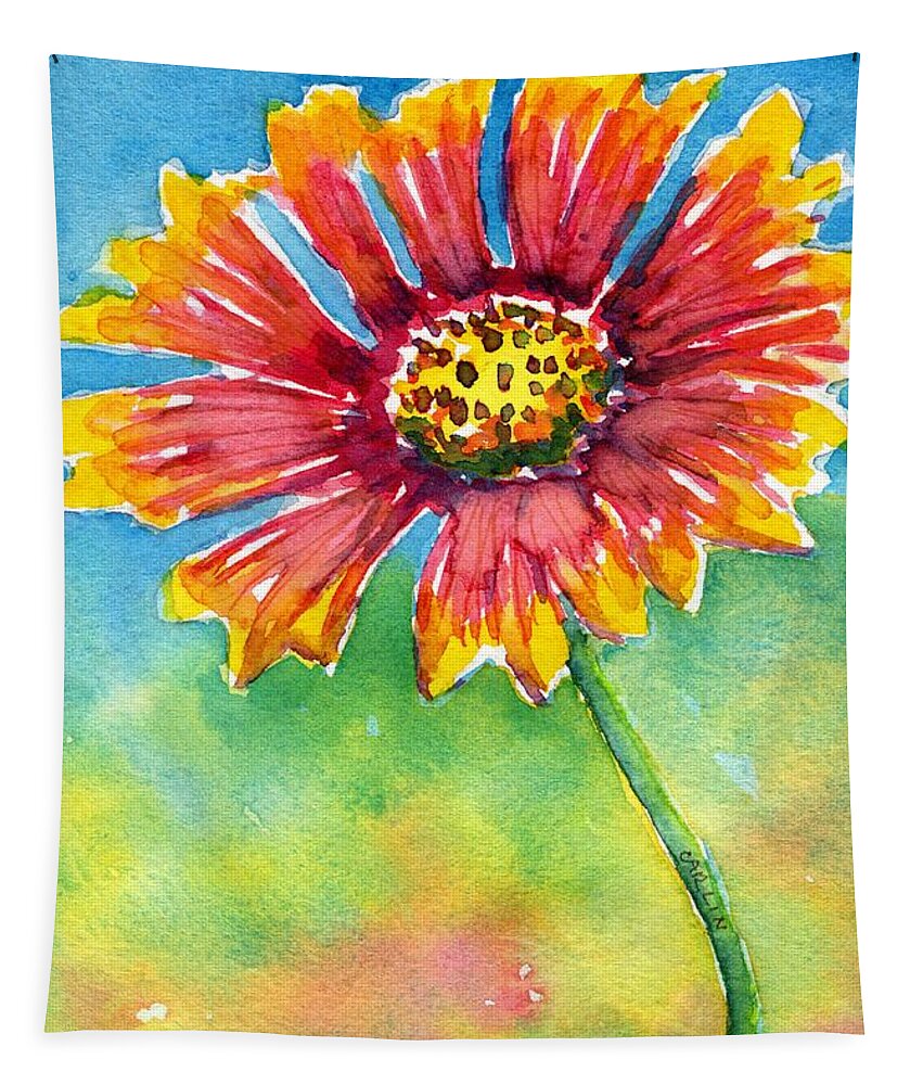 Painted blanket flower new arrivals