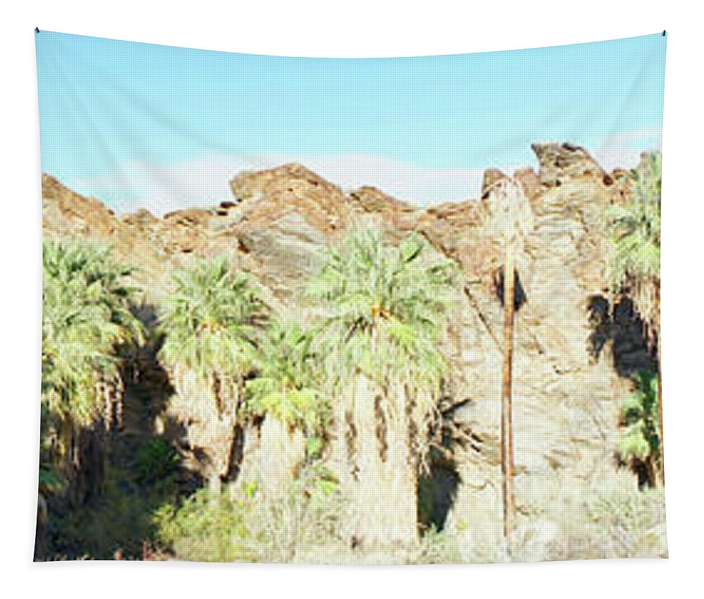 Indian Canyons Tapestry featuring the photograph Indian Canyons in Palm Springs, CA by Frick and Hammons