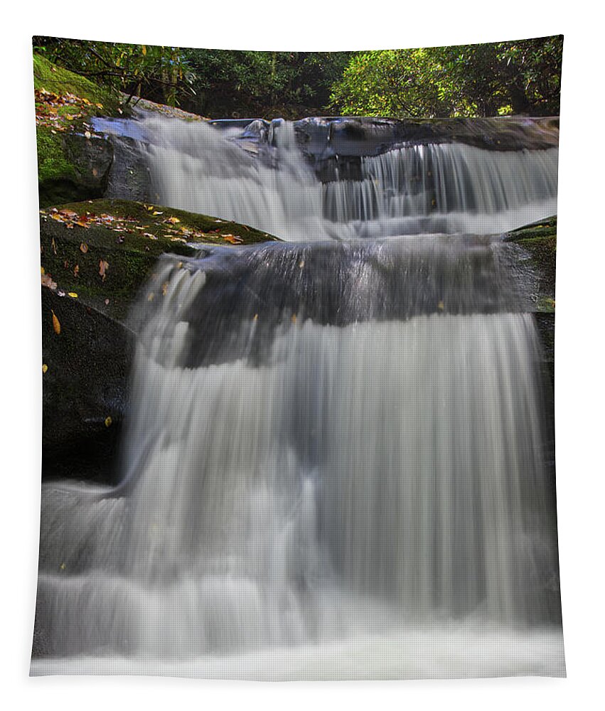 Indian Flats Falls Tapestry featuring the photograph Indian Flats Falls 12 by Phil Perkins