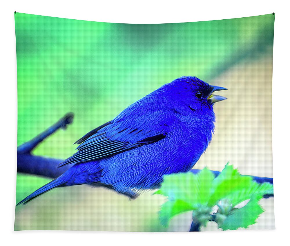 Indigo Tapestry featuring the photograph Indigo Bunting by Al Mueller