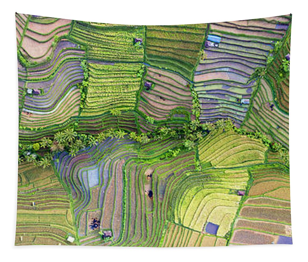 Panorama Tapestry featuring the photograph Indonesia bali Rice terraces aerial from above by Sonny Ryse