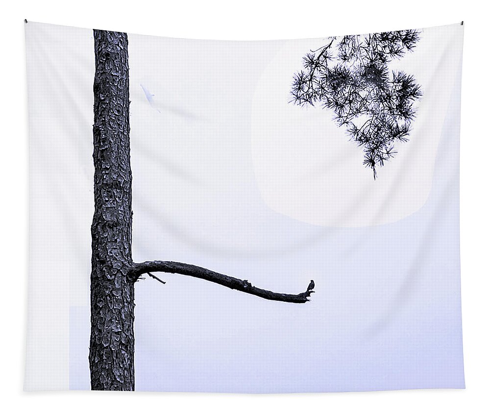 Minimalism Tapestry featuring the photograph Ink by Edward Shmunes