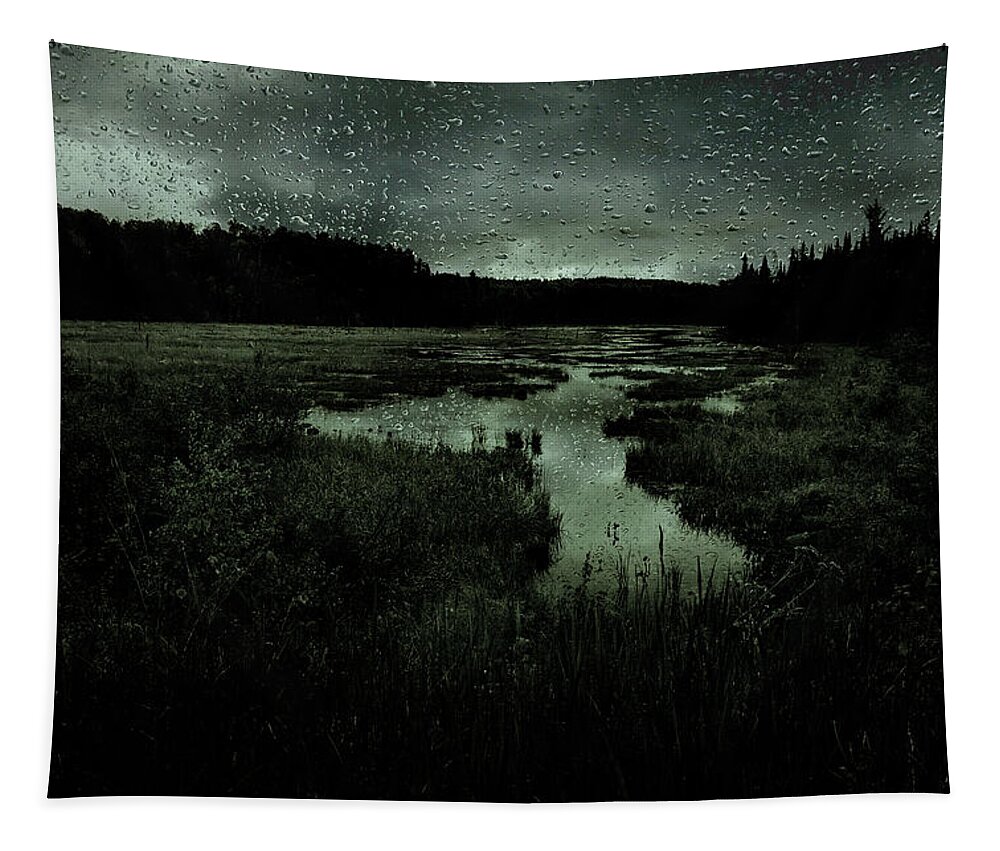 Landscape Tapestry featuring the photograph Inland Elegy by Cynthia Dickinson