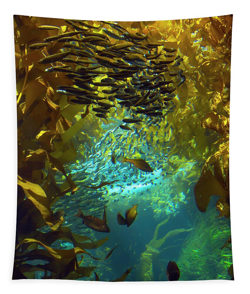 Fish Tapestry featuring the photograph Inside The Kelp Forest by Bonnie Follett