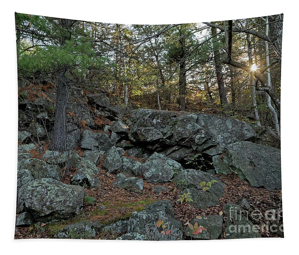Sunlight Tapestry featuring the photograph Interstate Park in Wisconsin by Natural Focal Point Photography