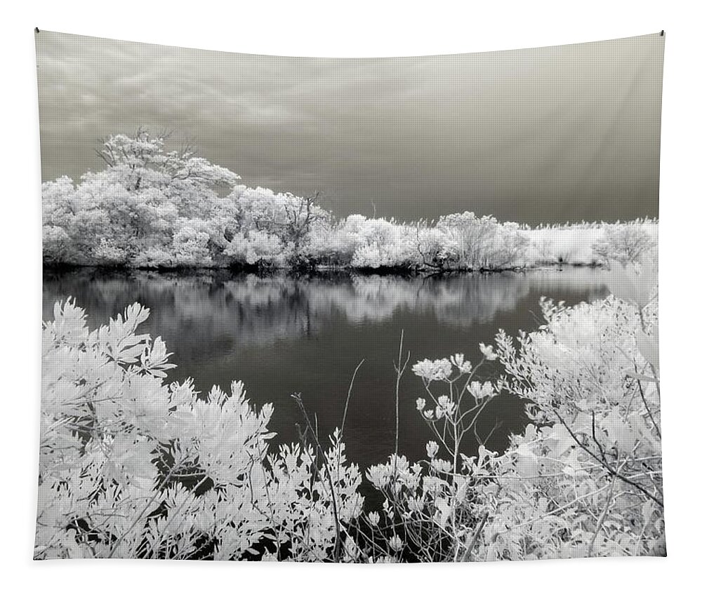 Infrared Tapestry featuring the photograph Intimate Lake in Infrared by Liza Eckardt