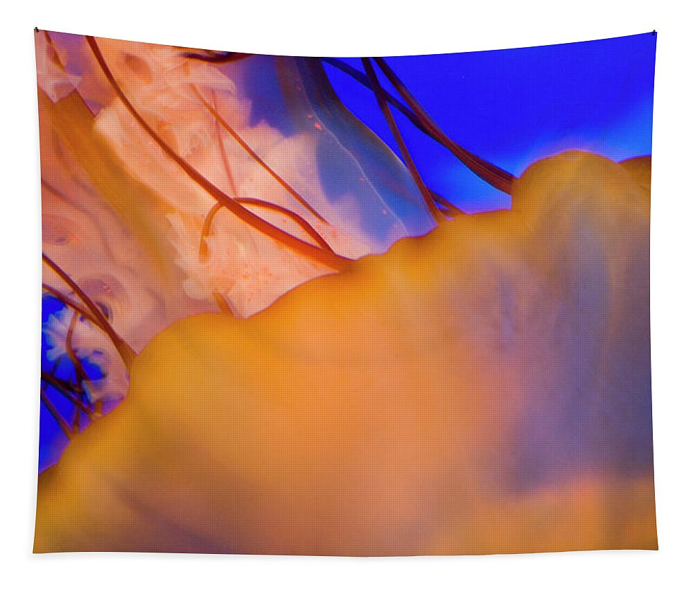 Jellyfish Tapestry featuring the photograph Into The Blue by Melissa Southern