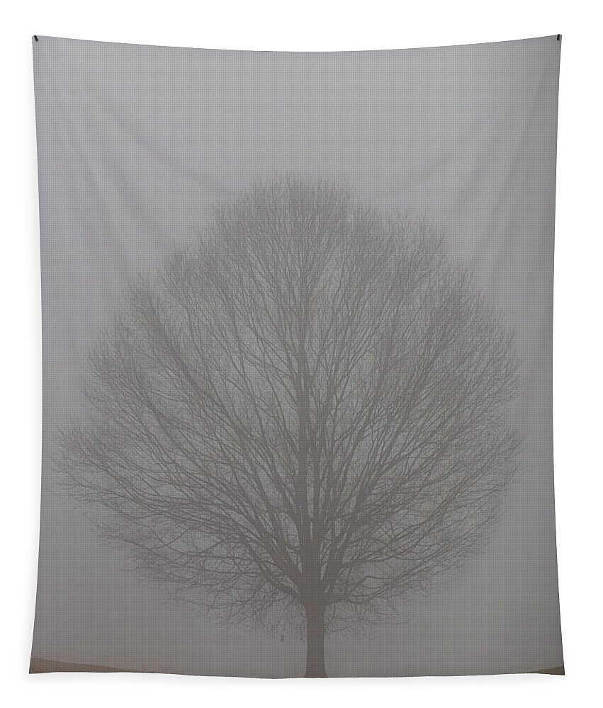 Fog Tapestry featuring the photograph Into the fog by Jamie Tyler