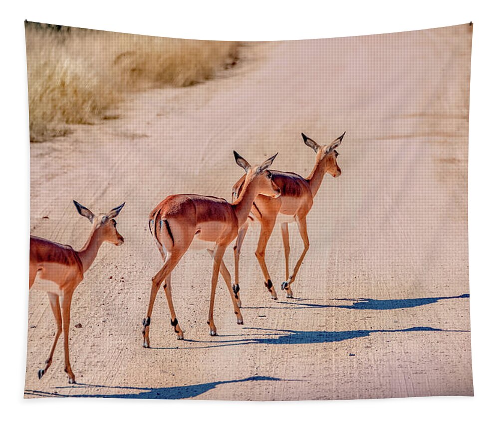 South Africa Tapestry featuring the photograph Intrepid Trio in Kruger National Park by Marcy Wielfaert