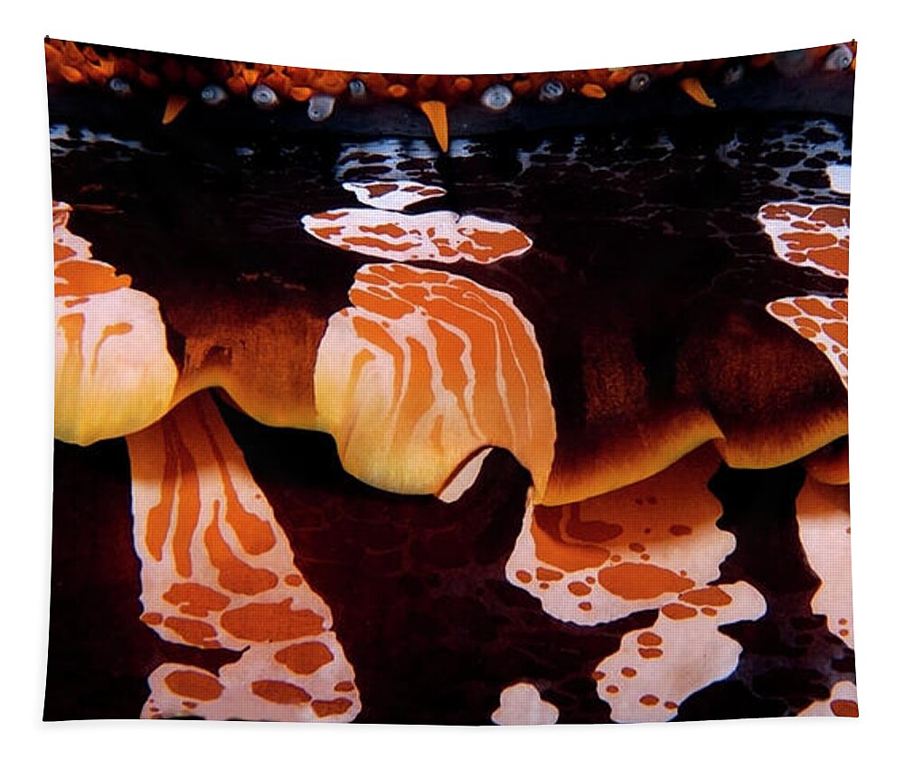Oyster Tapestry featuring the photograph Intricate invertebrate by Artesub