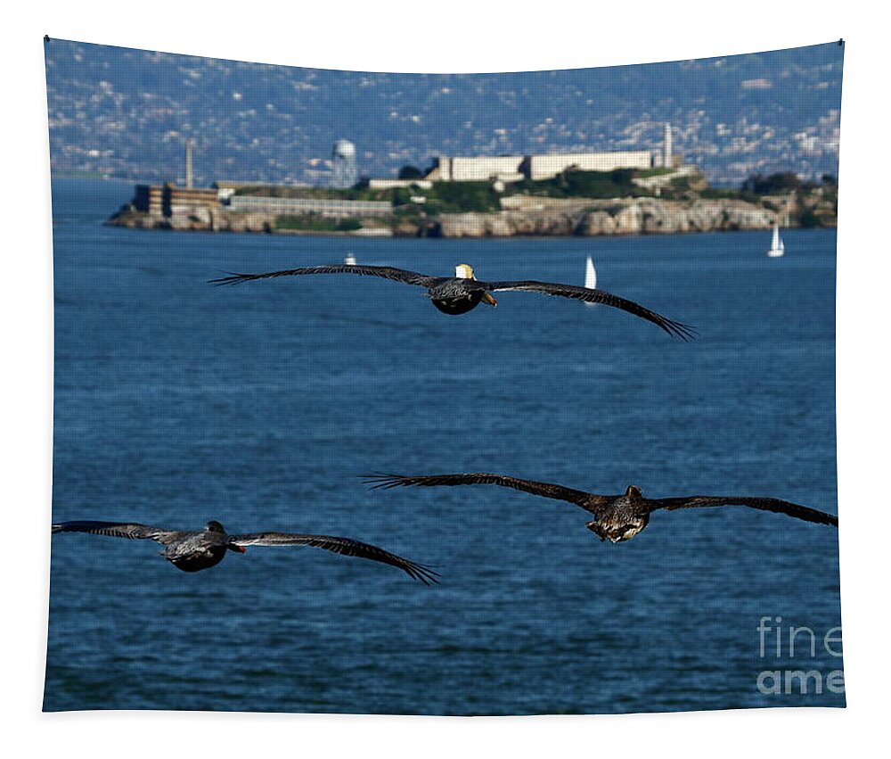 Alcatraz Island Tapestry featuring the photograph Inward Bound by fototaker Tony
