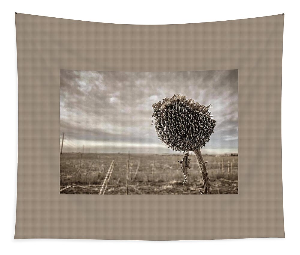 Iphonography Tapestry featuring the photograph iPhonography Sunflower 1 by Julie Powell